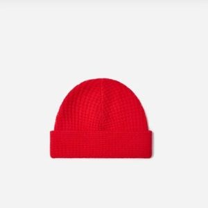 The Belgian-Waffle Wool Beanie by Everlane OS NWT